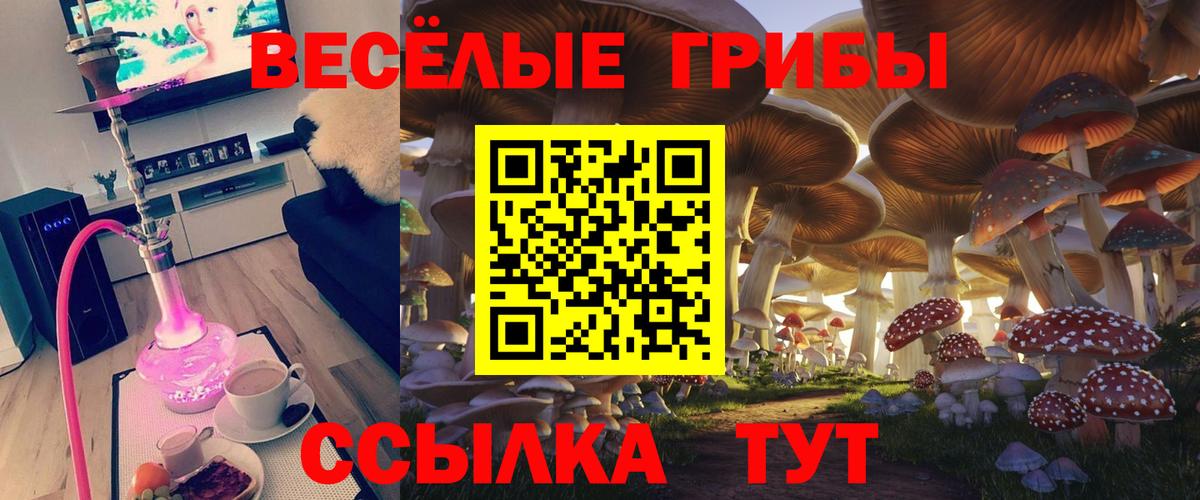 Каннабис  Героин  Меф МЯУ МЯУ кристаллы  LSD-25  Гашиш  НБОМе  Вход с VPN  Будённовск  А ПВП СОЛЬ кристаллы 