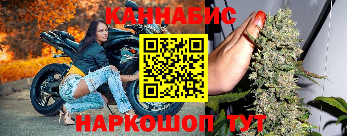 Бошки Шишки марихуана Будённовск